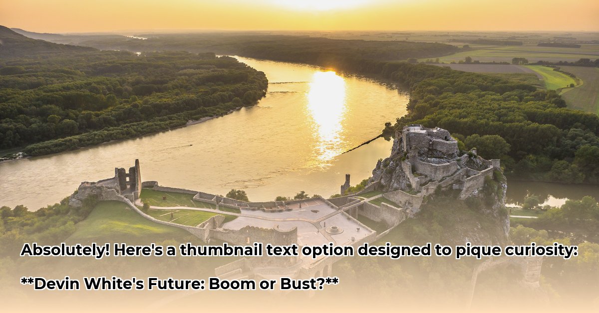 devin-white-net-worth